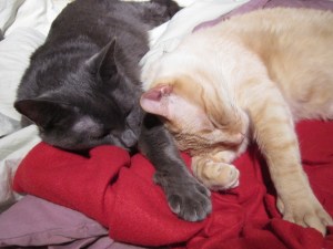 Bruce Willis (right) and Ronnie James (left)