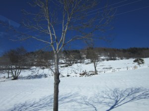 Visit to Catherine, February 2013