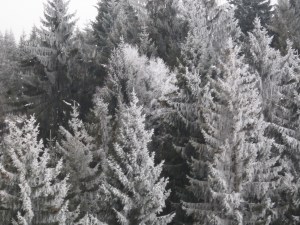 Visit to Catherine, February 2013