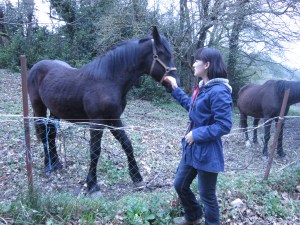 Pardon me. I just live here. Oh wait, this is a French horse, so... Je m'excuse. Now how do you say "I just live here" - "J'habite seulement ici?" Or "J'habite juste ici?" Not working. American slang doesn't translate! Nevermind.