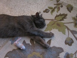 Too much excitement around here. I'm out.