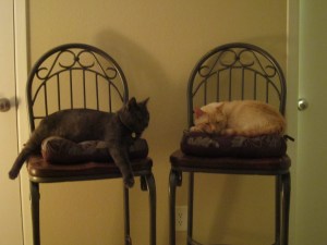 Ah... now we're really home!