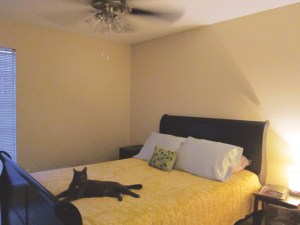 UFO? What UFO? I'm chilling under my ceiling fan!