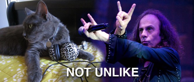 Ronnie James with my headphones on the left. Ronnie James Dio with his mic on the right. NOT UNLIKE.