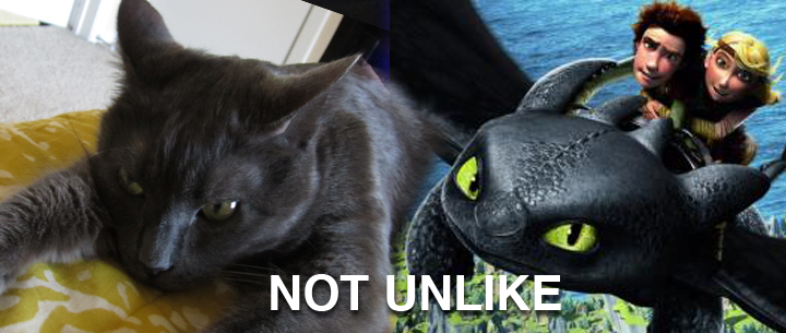 Ronnie James on the left, Night Fury from How to Train Your Dragon on the right. NOT UNLIKE.