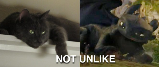 Ronnie James on the left, Night Fury in "How to Train Your Dragon" on the right. NOT UNLIKE.