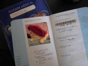 The French medical passport of the French Nounours, pictured wearing his French beret. But he was born on the 4th of July!