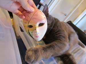 It fits! READY FOR HALLOWEEN.