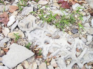 Stories in the stones