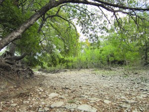 I can smell the fragrance of the country fall air just looking at this picture. 