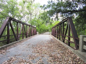 Fall is lovely in the country north of Dallas. This is my cousins' bridge. The creek lies beneath.