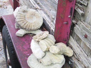 The treasures we found!