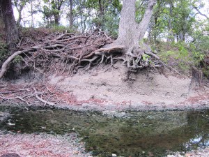 The part of the creek that had water in it in spite of the drought....