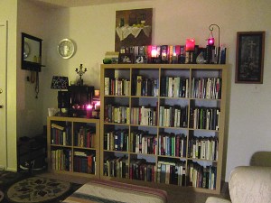 Looking over my shoulder, I see the bulk of my book collection in the cases against the opposite wall