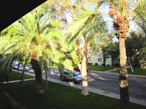 View from our balcony, looking to the left...