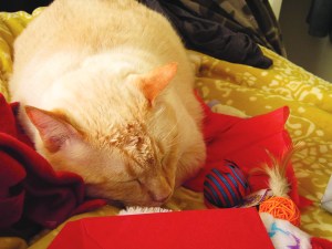 ...before he passed out...