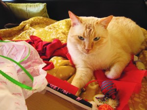 And here's Nounours, deep in contemplation...