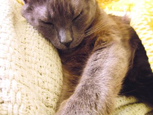 Ronnie James birthday hugs.