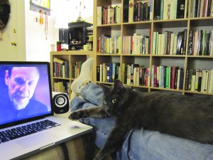 Ronnie James settled himself on Callaghan's legs to catch up on Homeland with us.