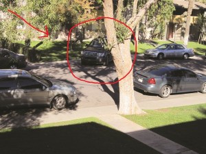 Exhibit B: Parked Sport Utility Vehicle, pointing outward.