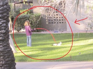 Exhibit C: Girl with cat on leash