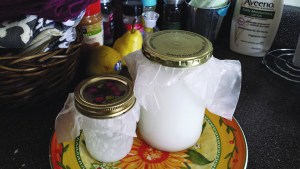 Unrefined, organic coconut oil - the remaining two jars of the three my parents sent home with us at the beginning of March.