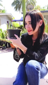 Here's Tourni! It's hard to see him in this picture. He's the slender, yellowish stalk with two little leaves on top, rising up from the center of the pot.