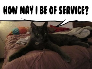 thatasianlookingchick.com-RonnieJamesAutoService