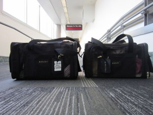 Kitties touch down on American soil, and Ronnie James says, "Wrahwrahwrahwrahwrah" in English for the first time.