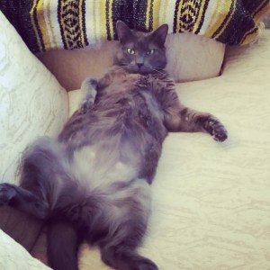 The Ronnie James routine.