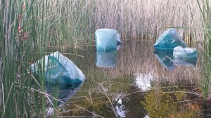 thatasianlookingchick.com-Chihuly2014_3