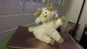 Ramsey, the unroachiest thing I could find to photograph for this post.