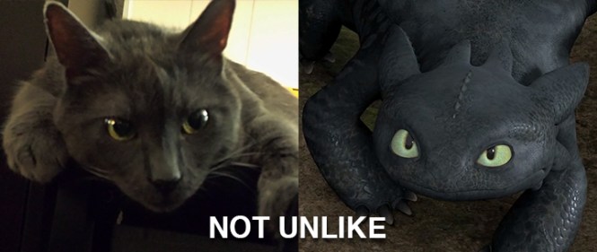 Ronnie James on the left. Night Fury from "How to Train Your Dragon" on the right. NOT UNLIKE.