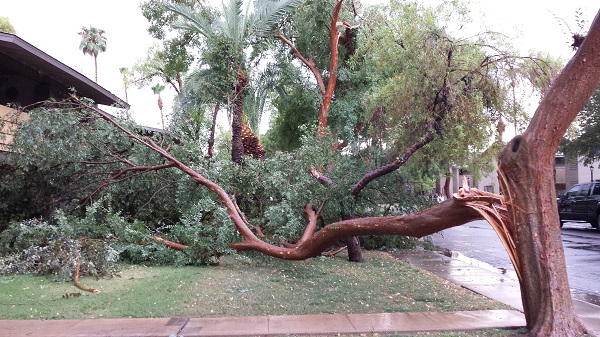 Our apartment is the in the upper left....