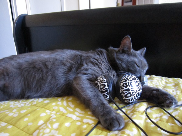 Ronnie James with headphones, July 2013