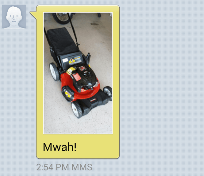 thatasianlookingchick.com-lawnmowerscreenshot2