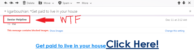 thatasianlookingchick.com-SeniorHelpline