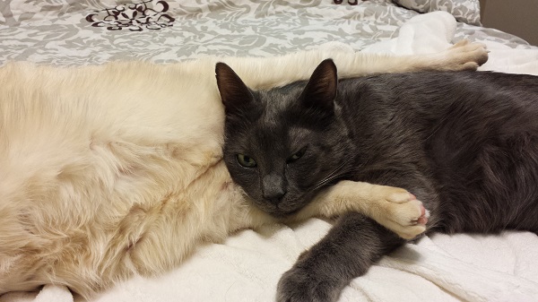 No problem, I can get out of this. WATCH ME.