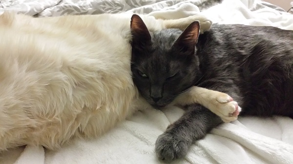 *sigh* Whatevs. I'm tired.