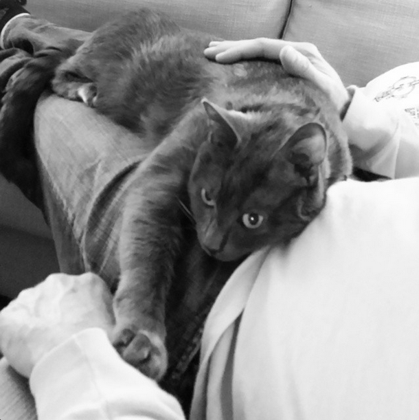 December 2014. He loved to drape himself over us. Look at his paw on Callaghan's arm! He loved to touch us.