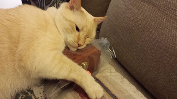 Watching this, our hearts broke all over again.