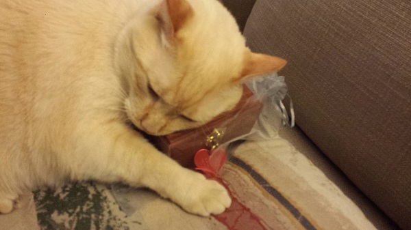 Rubbing his face on the urn...