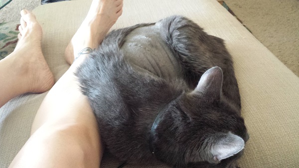 Curled up against me....