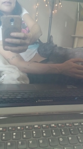 I couldn't resist taking a picture of it reflected in my laptop screen.