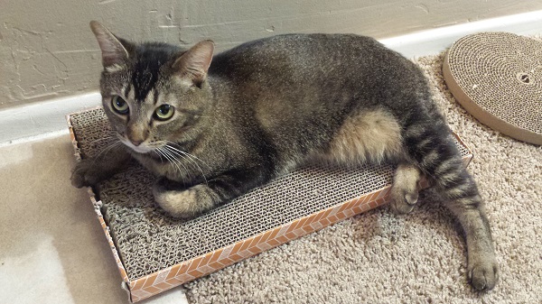 Her shy expressions remind me so much of Princess Diana!