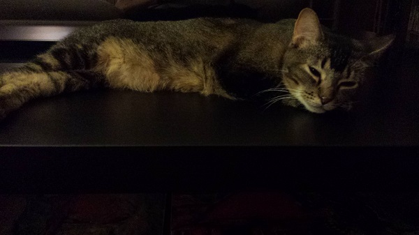 Because guard duty is tiring.