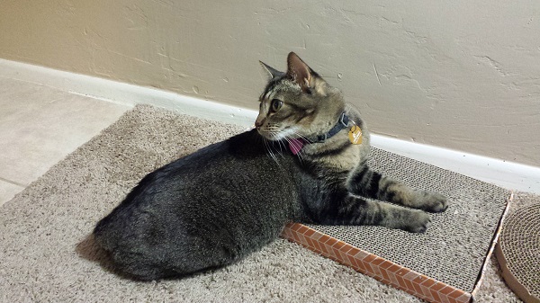 Little Nenette, aka Bunny-Butt.