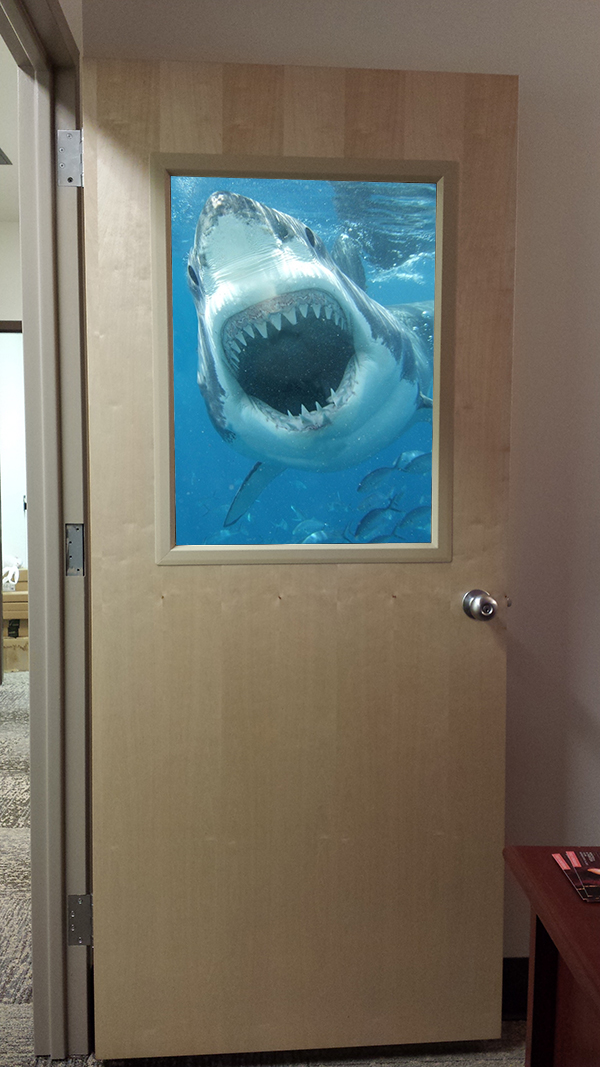 Office as friendly aquarium.