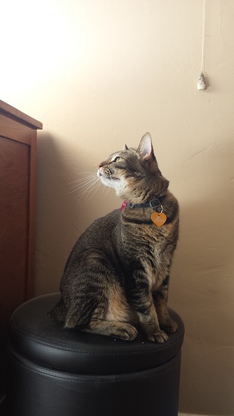 No one poses better than la petite Nenette.