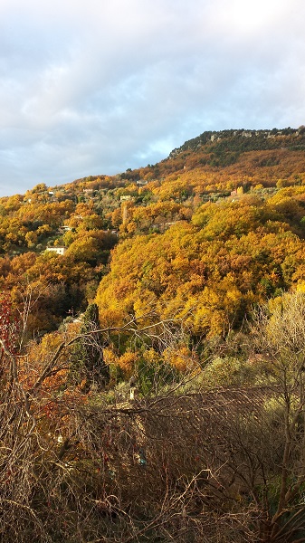 Bedroom view, Papa's house, Le Bar-sur-Loup